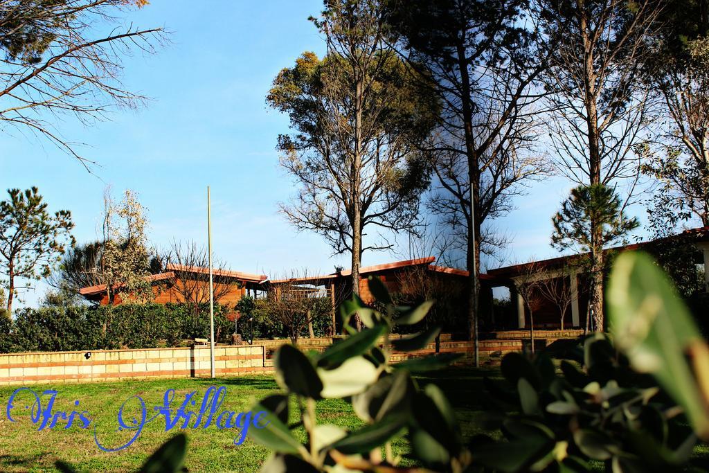 Iris Village San Sostene Kültér fotó